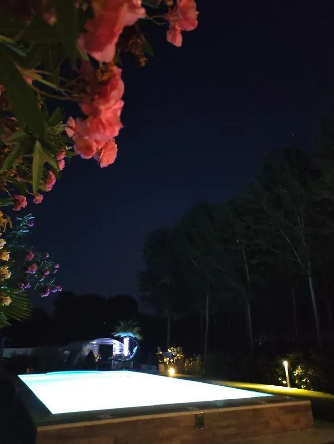 Rb Bed & Breakfast Gaiba